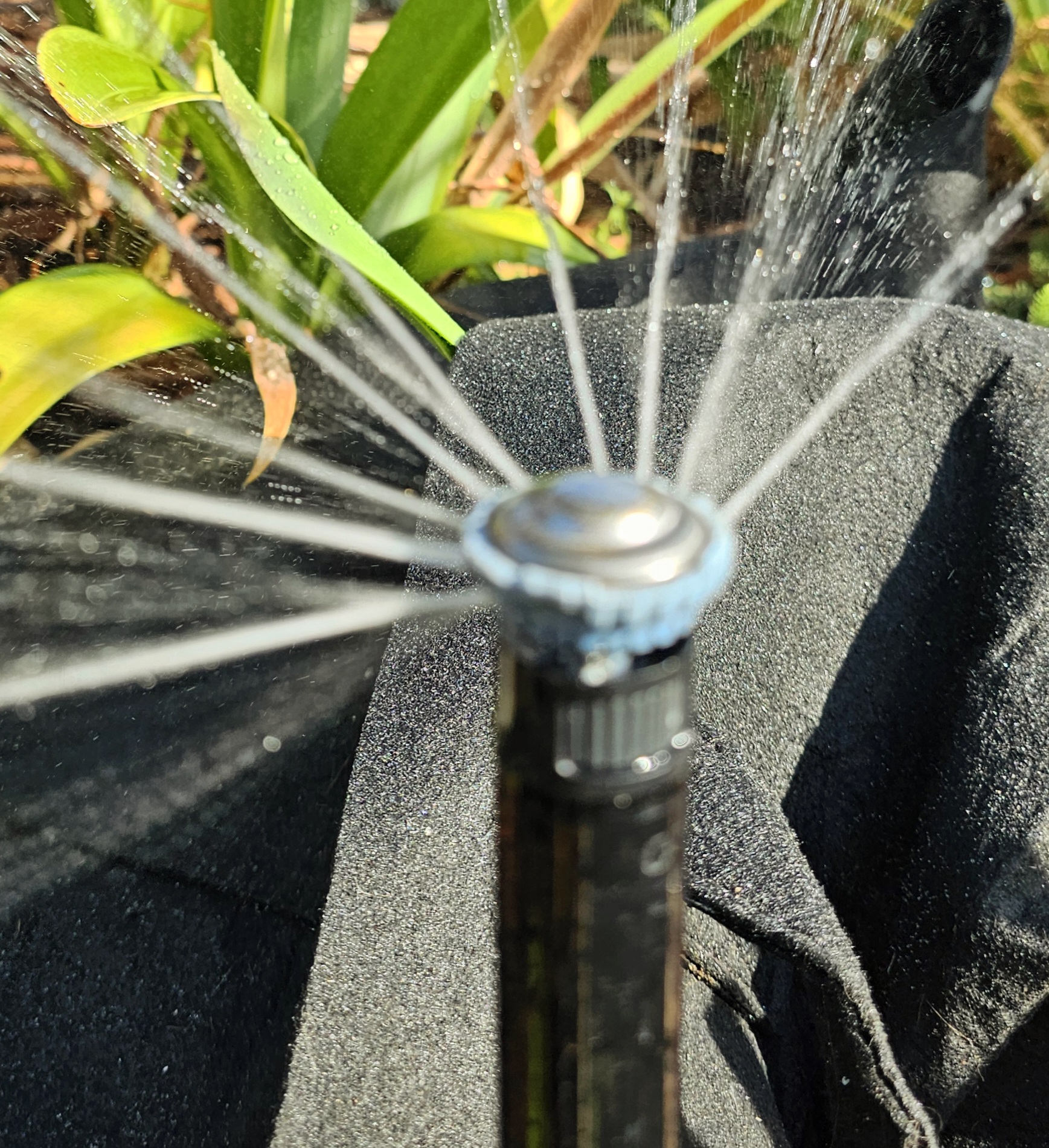 Stream Sprays
